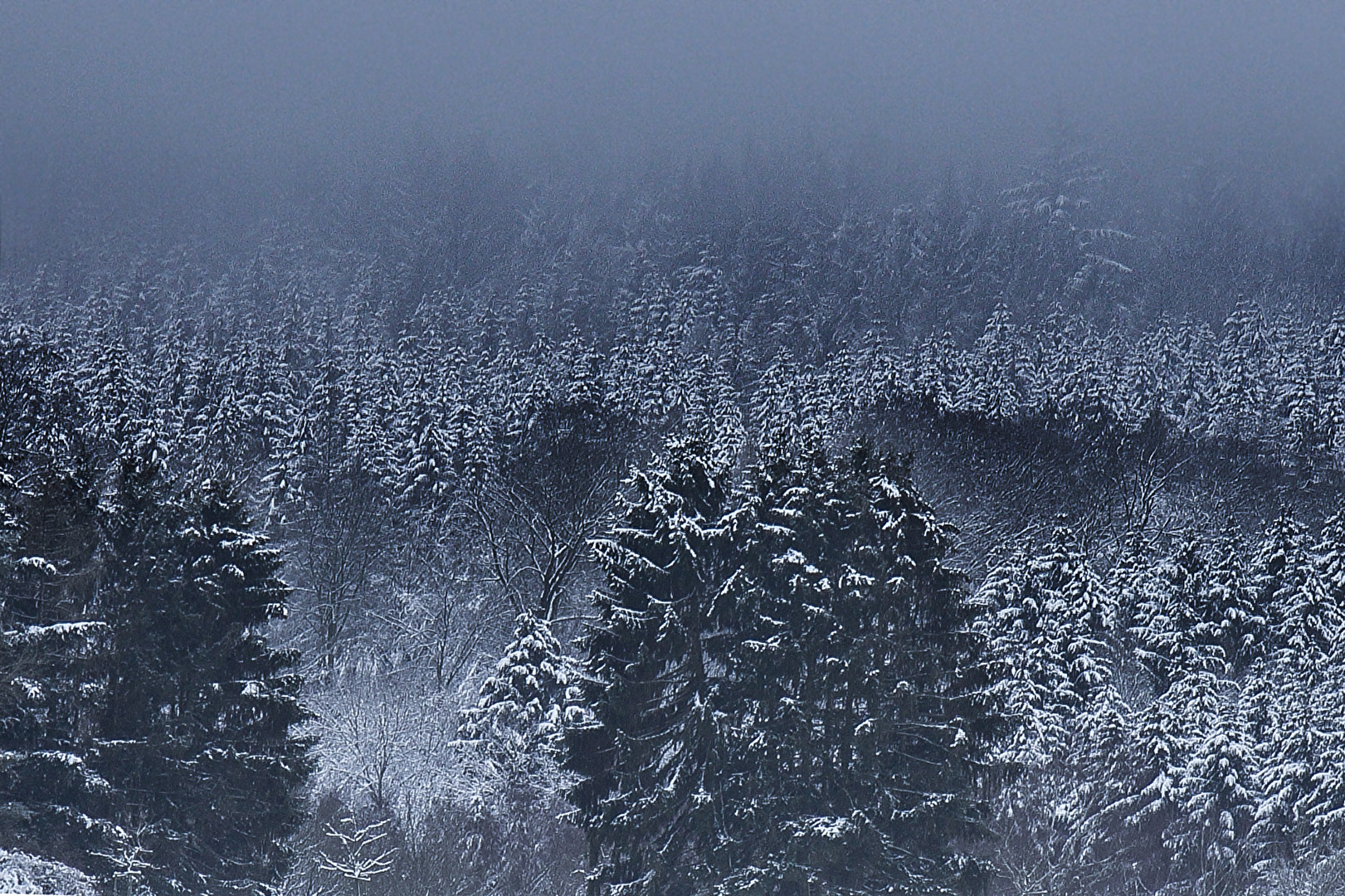 Winter in Taunus
