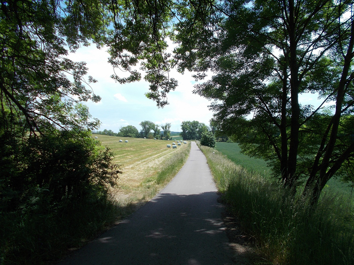 Radwanderweg bei Beuditz