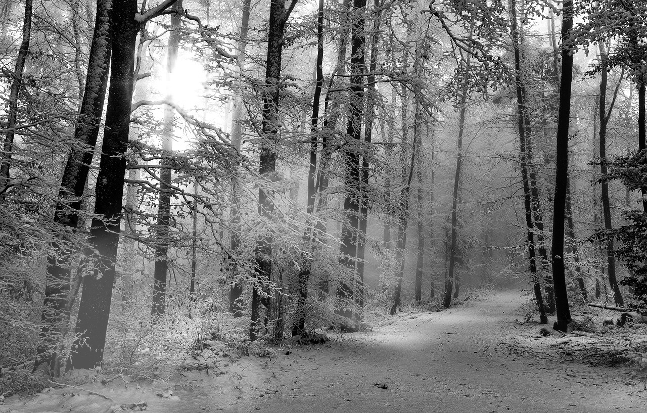 Winter Wanderweg