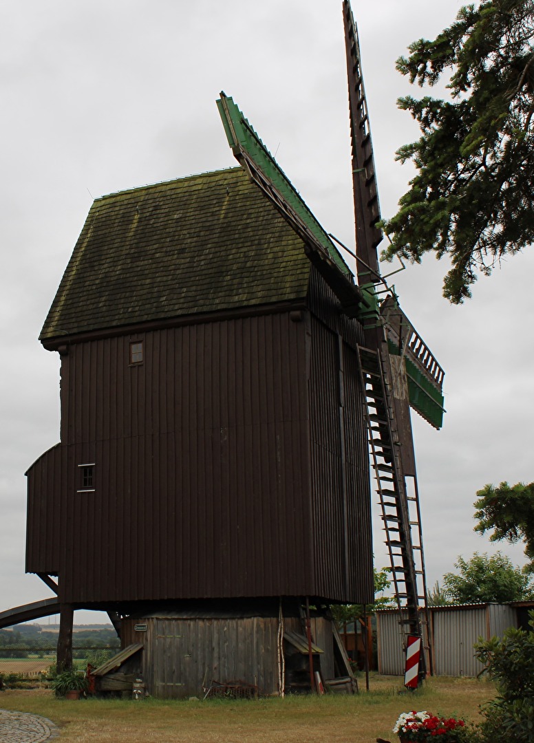 Windmühle in Schellsitz