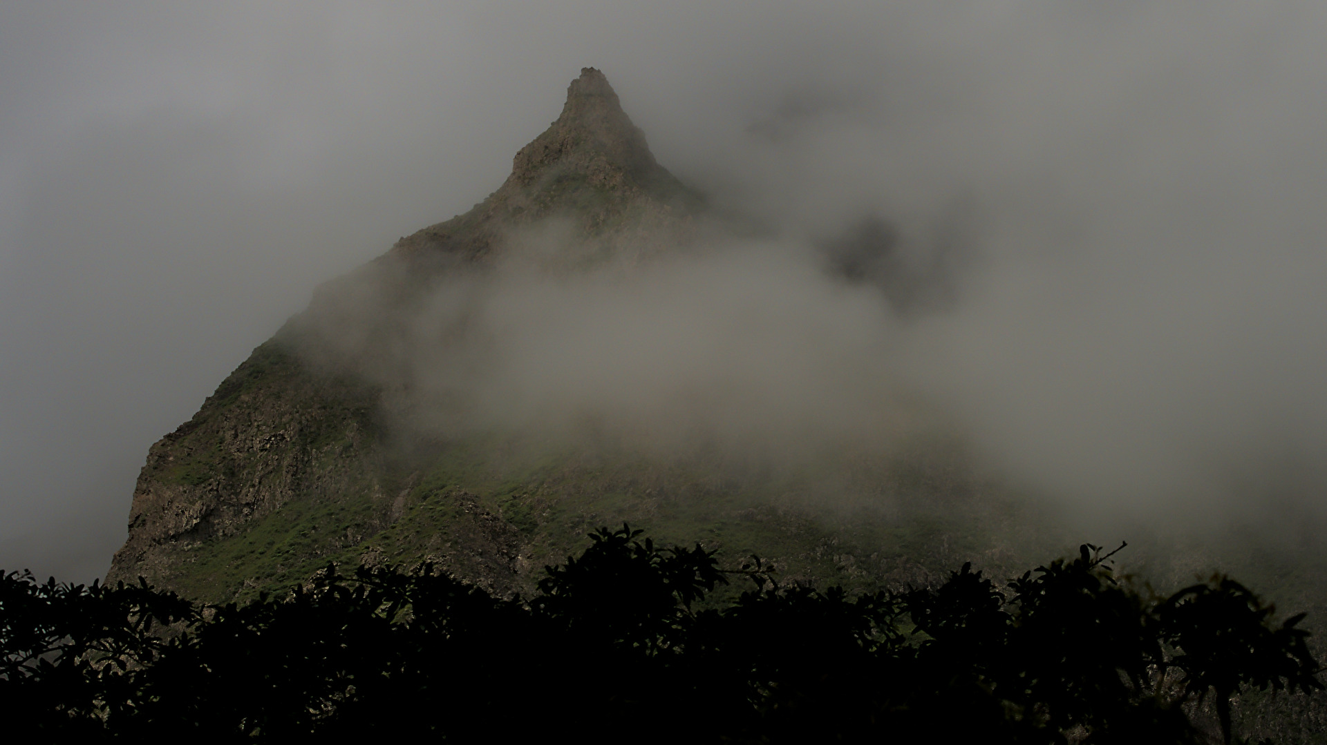 #Nebel im Bergland von Santiago / Cabo Verde
