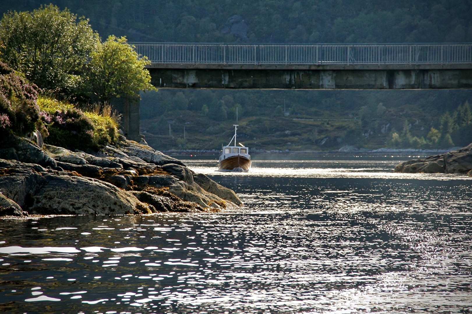 norwegisches Holzboot auf der Heimfahrt