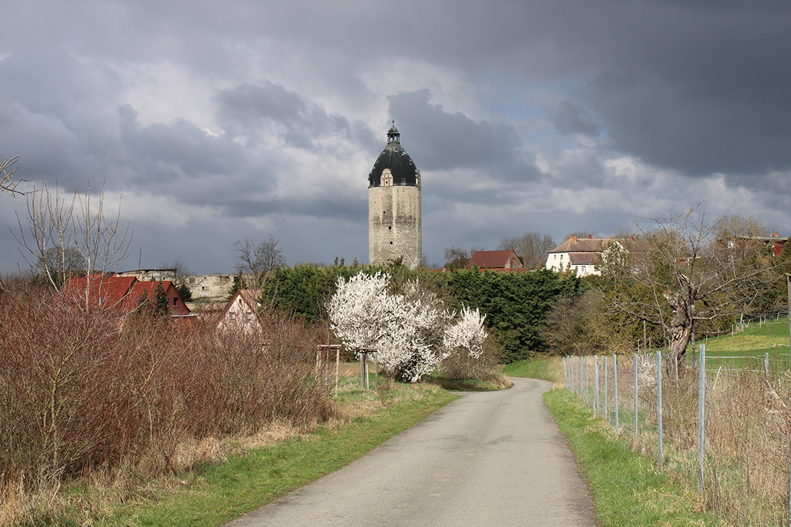 Frühling in Freyburg/U