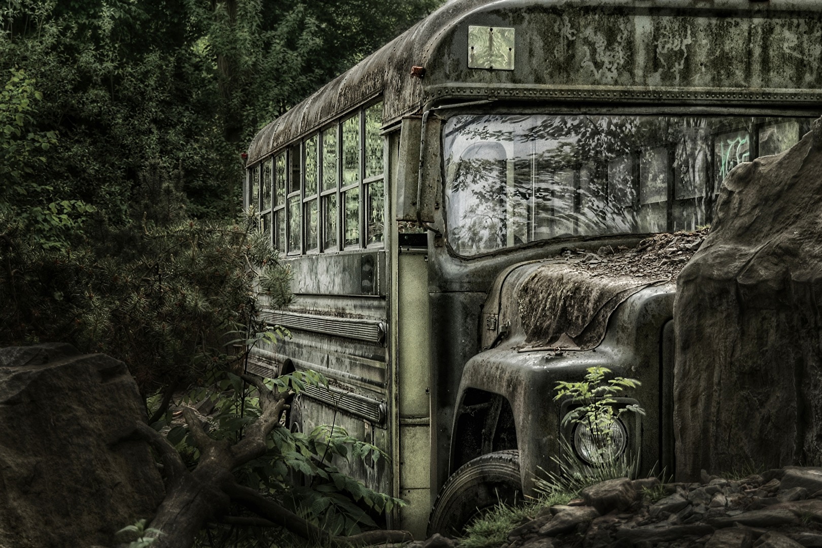 Forgotten bus