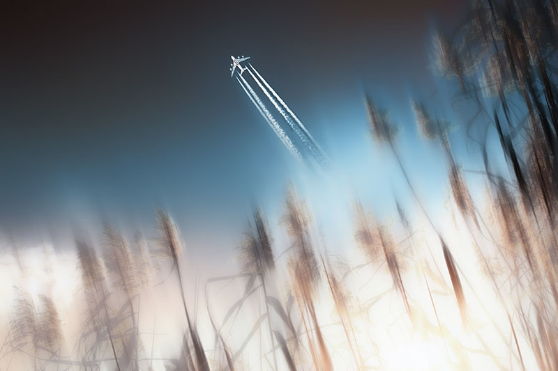 Flugzeug über dem Bodensee