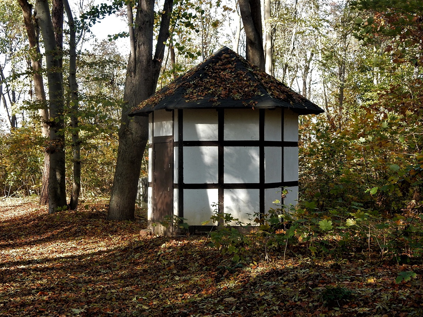 kleines Haus am Wald