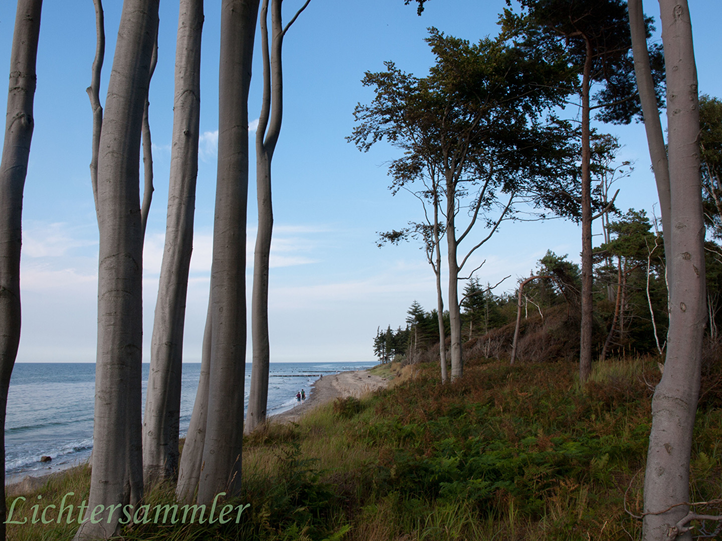 Rostocker Heide mit Blick zur Ostsee