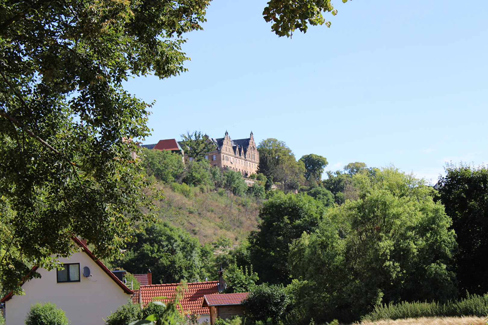 Schloss Vitzenburg von der Straßenseite gesehen