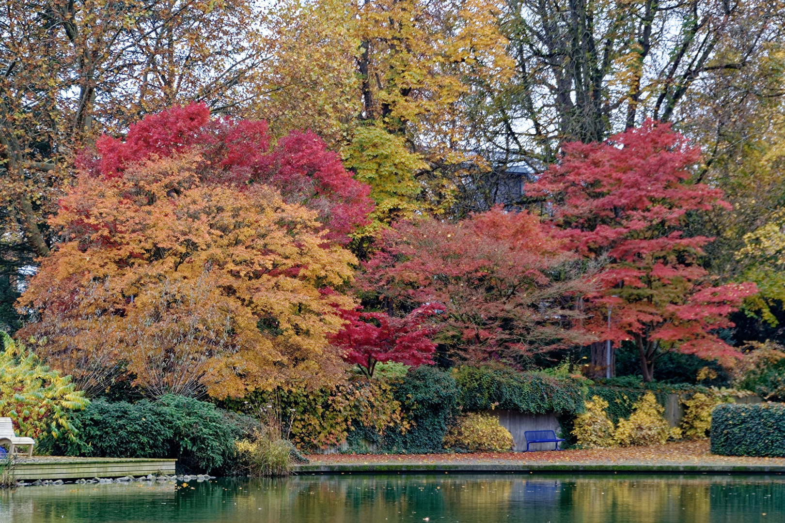Herbst im Luisenpark
