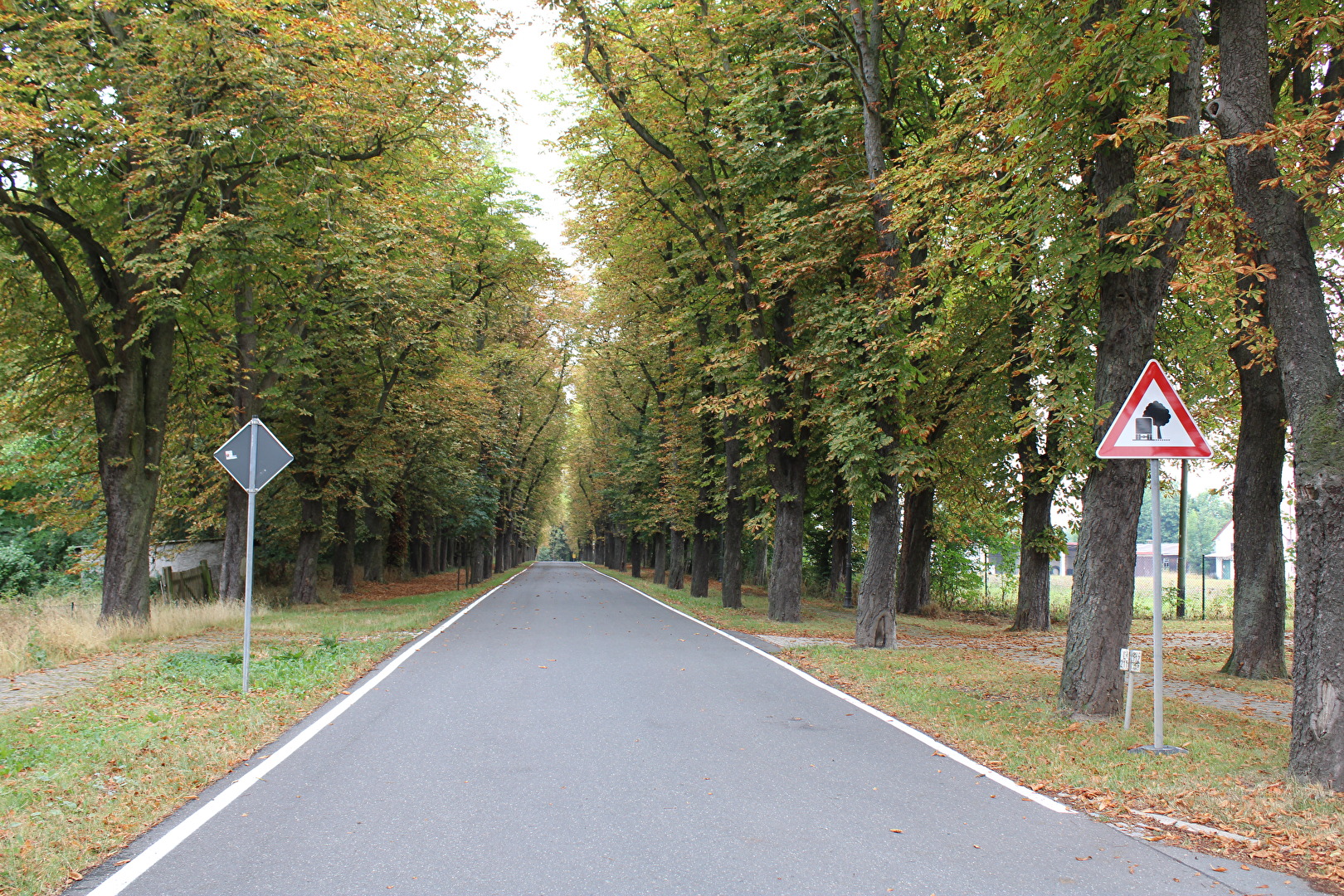 Landstraße im Herbst
