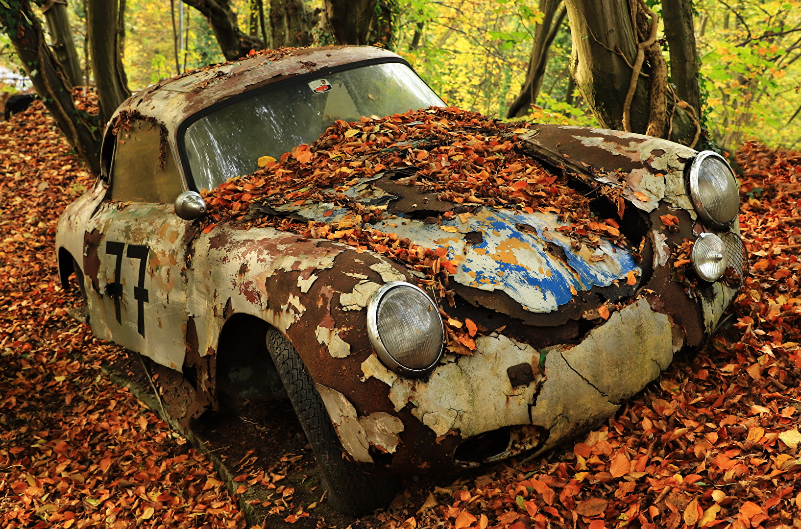 Porsche im Herbst