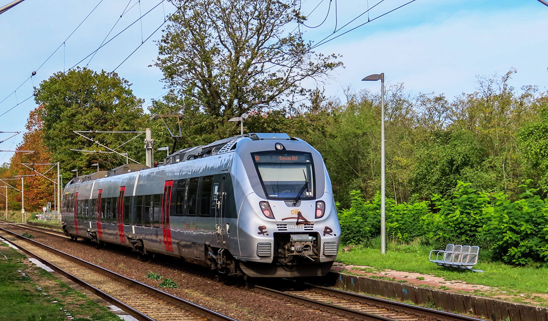 Die beschmierte S-Bahn nach Dessau