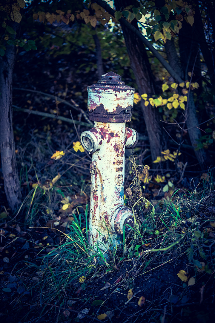 Der tote Hydrant