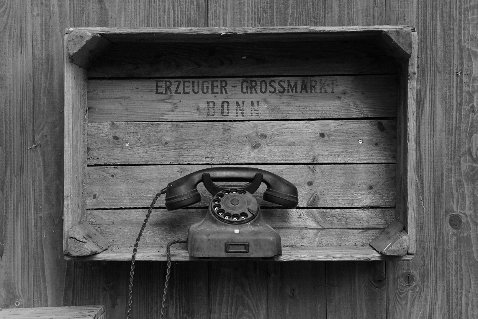 Das Telefon des Erzeugers