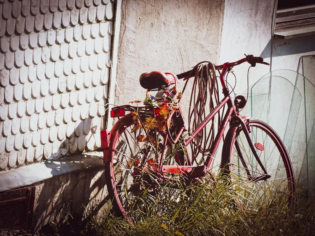 TT #Fahrrad oder Schlauchhalter?