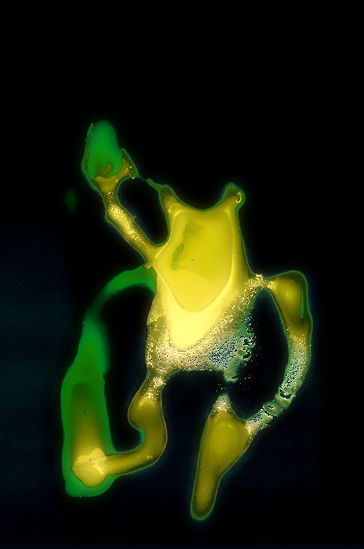 the frog nebula