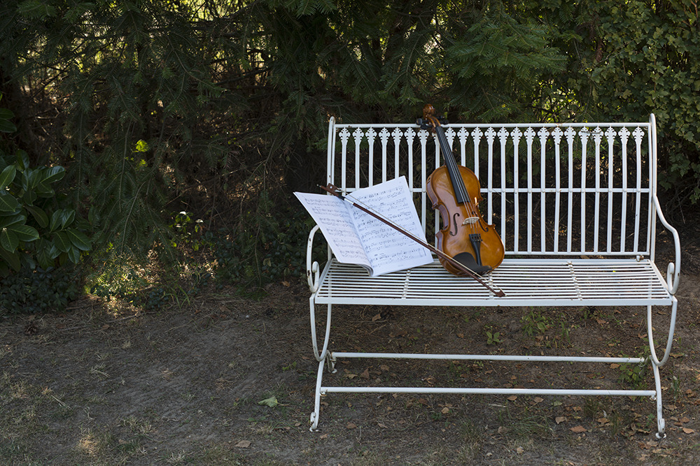 Die einsame Violine