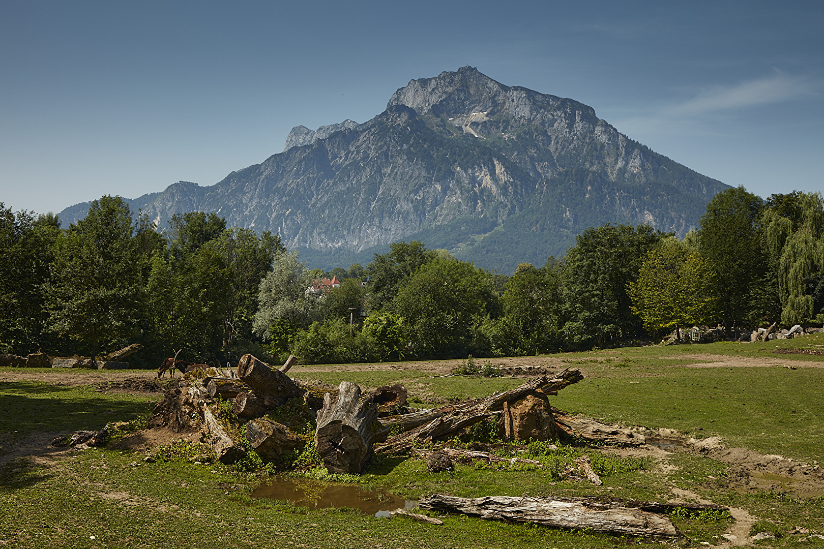 Berg? Vordergrund = Antilopen Gehege im Zoo Salzburg.