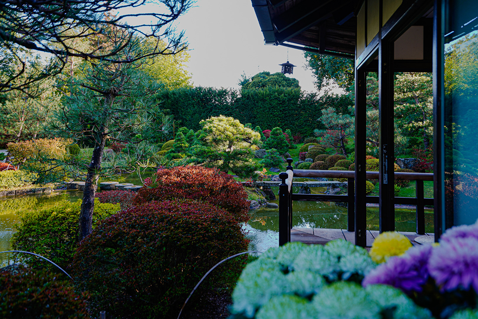 Bonsai Garten